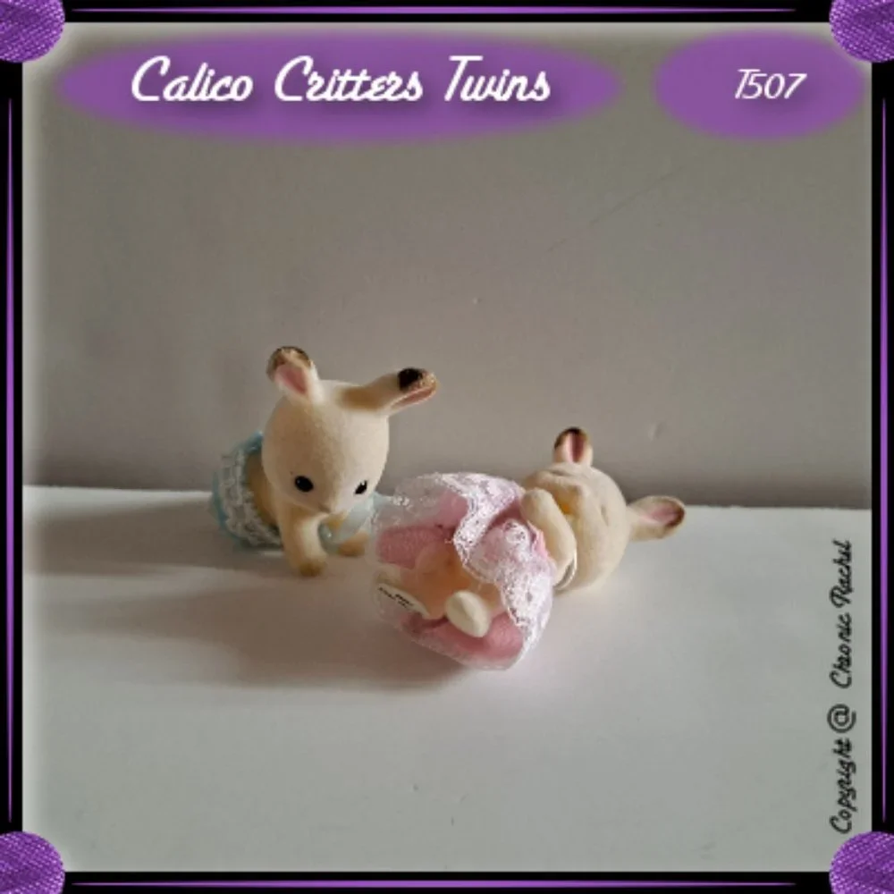 Hopscotch Rabbit Sleeping & Awake Twin Babies